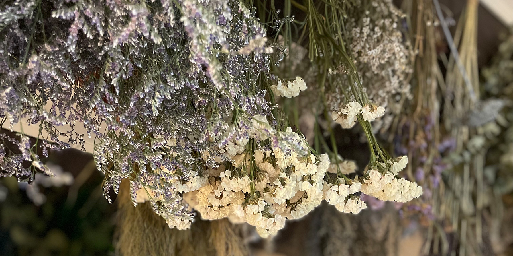 Dried Flower & 古道具 Marca